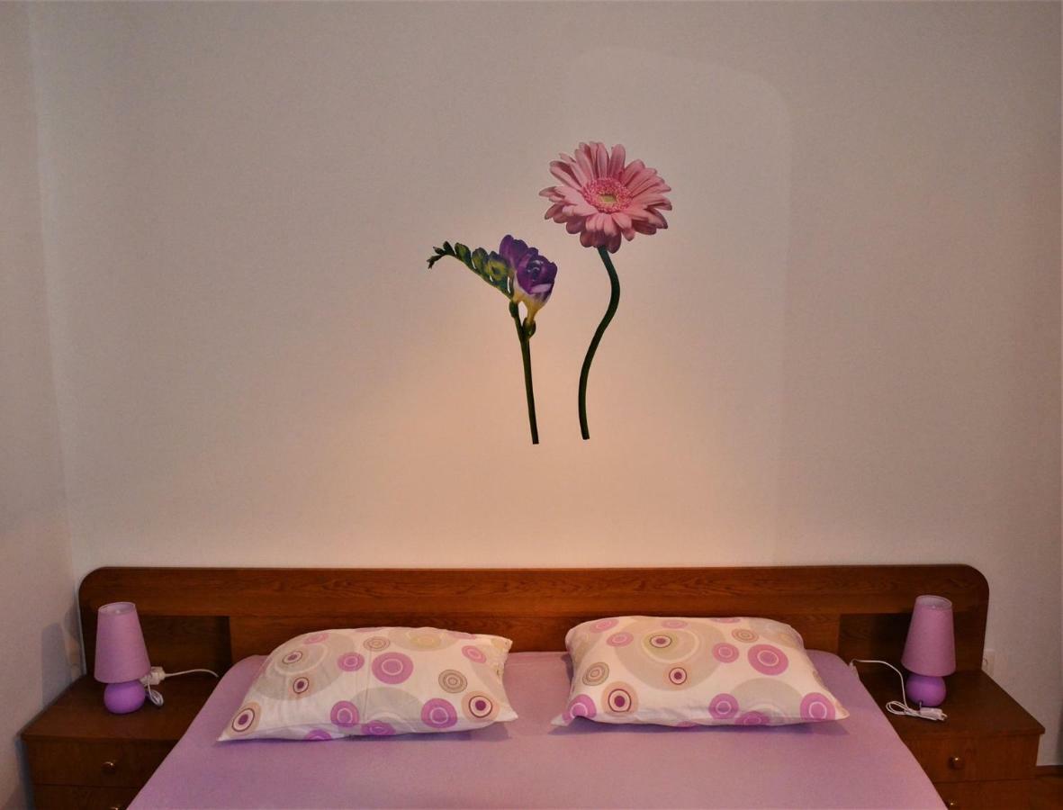 Apartman Rosa ピロヴァッツ エクステリア 写真